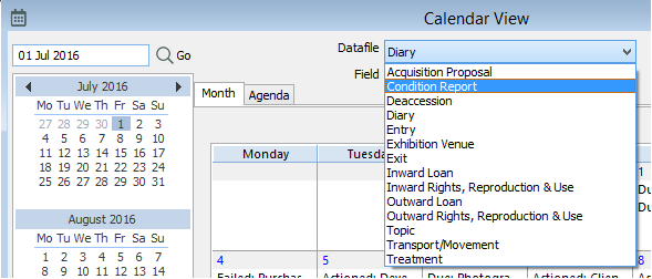 Detail Calendar View Datafile Options Detail Calendar View Datafile Options