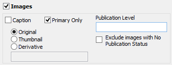 Detail Publication Level in Reporting Window Detail Publication Level in Reporting Window