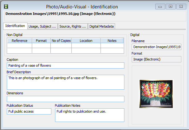 The Photo/Audiovisual identification window with a digital image record.