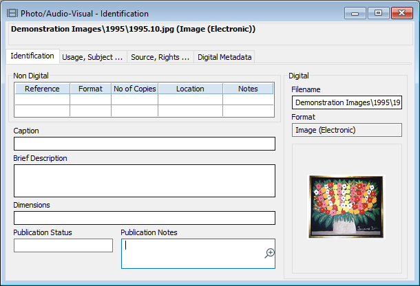 The Photo/Audiovisual identification window with a digital image record.