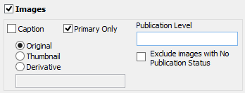 Detail Publication Level in Reporting Window